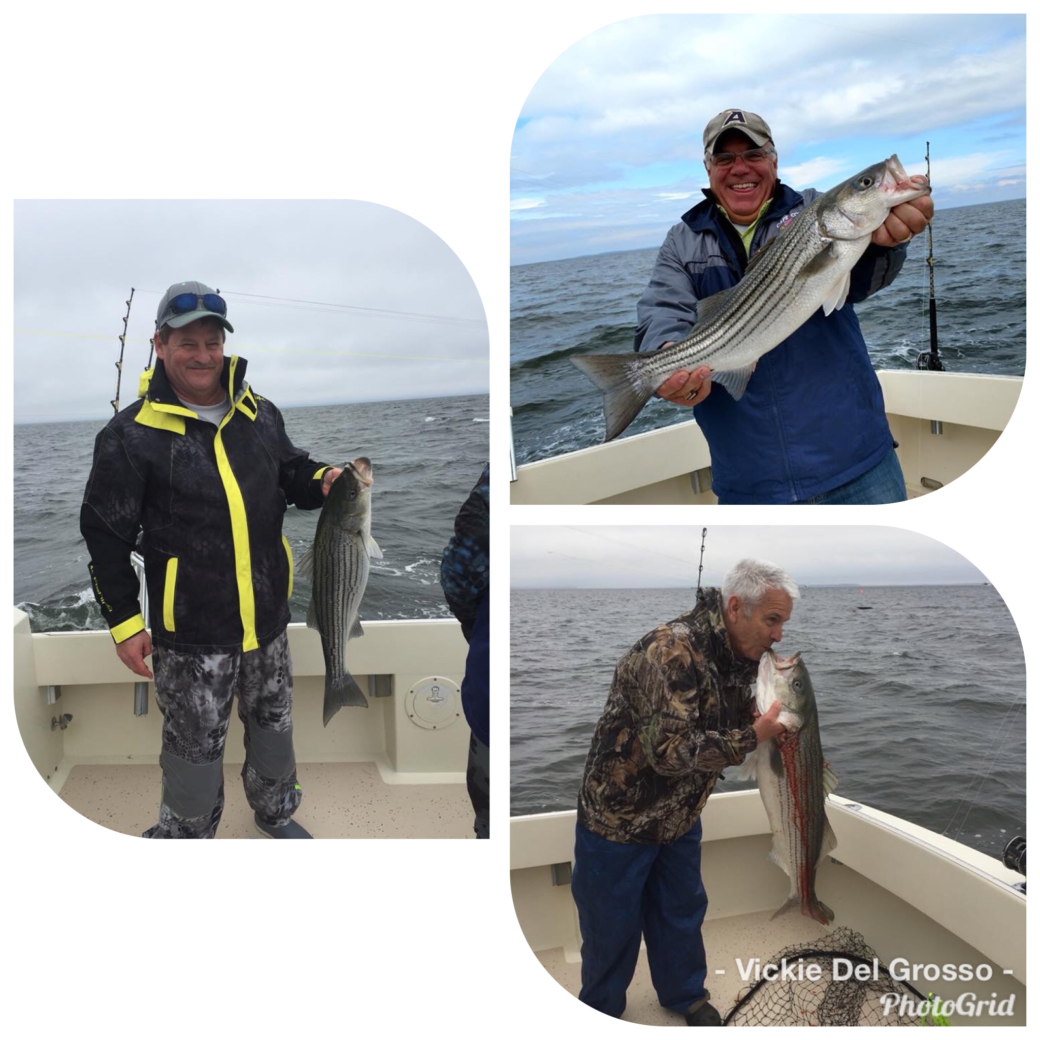 4C8CF930-E761-426C-ACD4-64FBBF0067DE